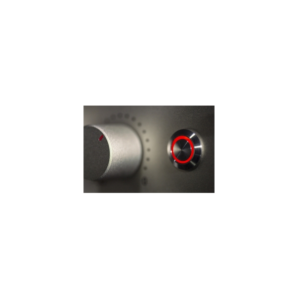 V 402 Dual channel microphone preamp Neumann