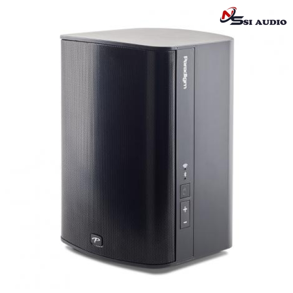 PARADIGM PREMINUM WIRELESS PW 300 Loa Nghe Nhạc
