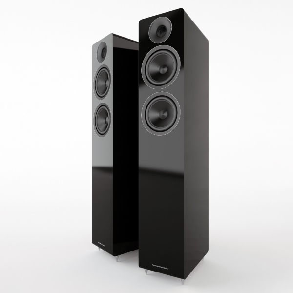 ACOUSTIC ENERGY AE309