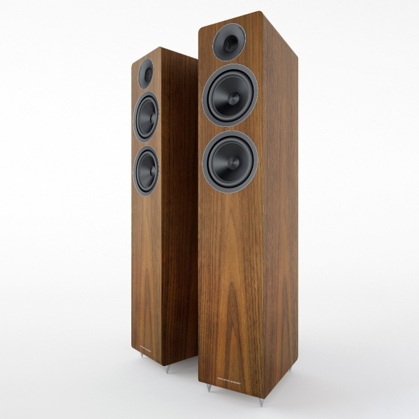 ACOUSTIC ENERGY AE309