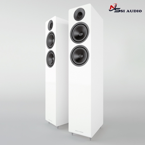 ACOUSTIC ENERGY AE309