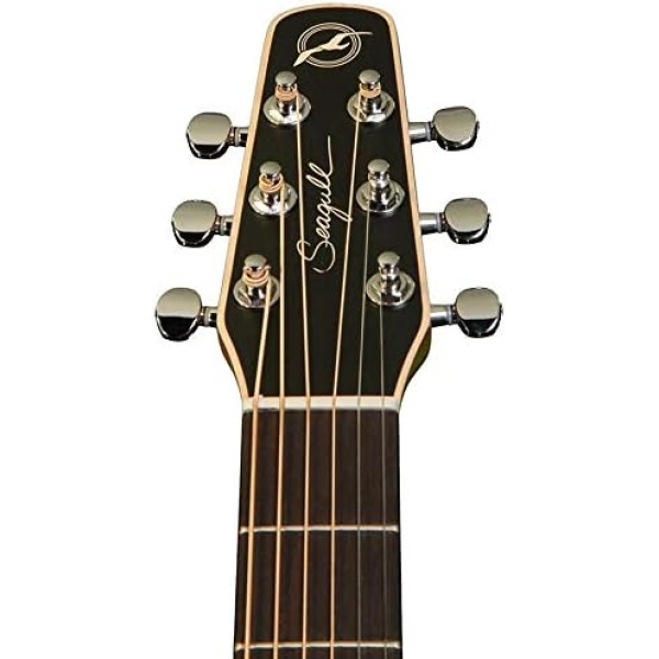 Guitar Seagull Coastline Slim Cutaway Spruce