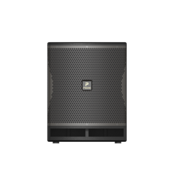 P'SOUND S-2025 Loa Nghe Nhạc