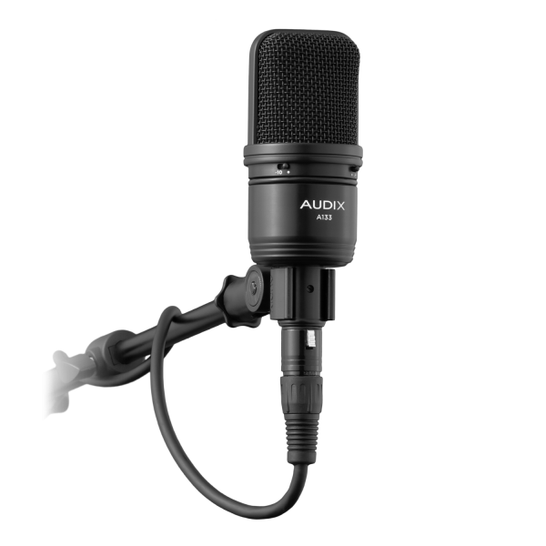 AUDIX A133