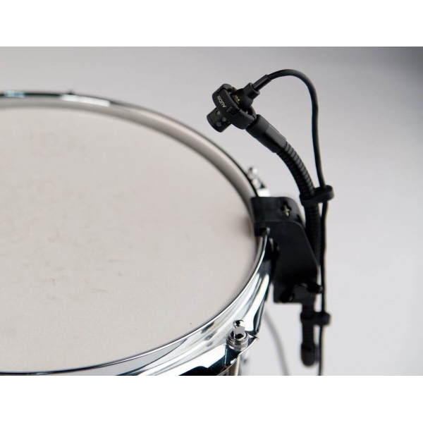 AUDIX Microd