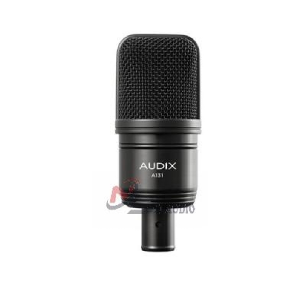 AUDIX A131