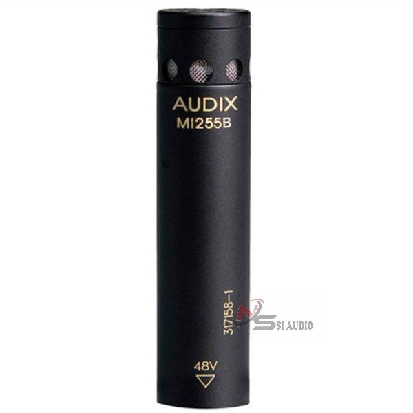 AUDIX MB2450
