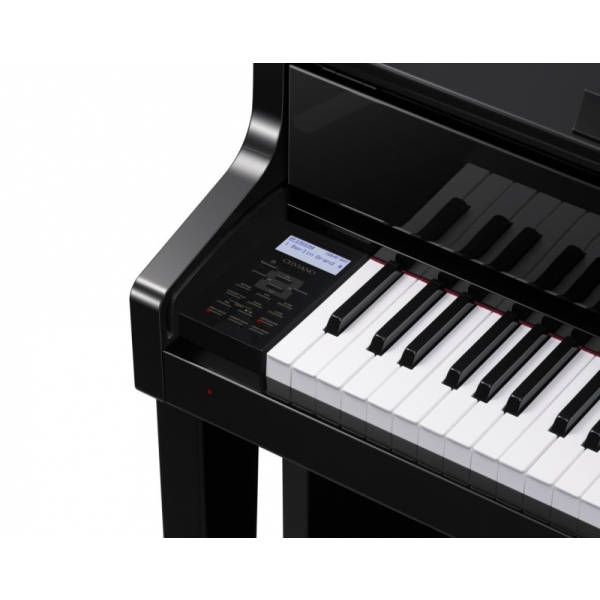 Casio GP-500
