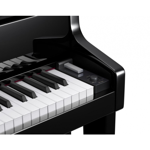 Casio GP-500