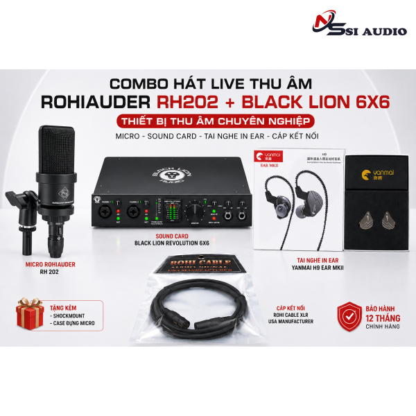 COMBO HÁT LIVE THU ÂM RH 202 + BLACK LION 6X6