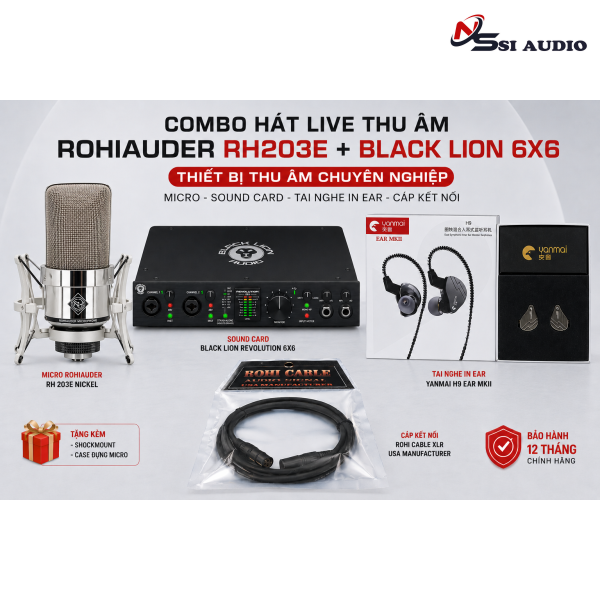COMBO HÁT LIVE THU ÂM ROHIAUDER RH203E + BLACKLION 6X6