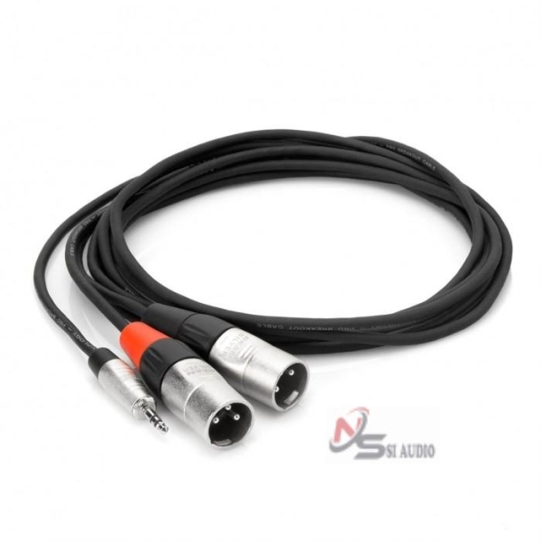 Hosa Pro Stereo Breakout Rean 3.5mm Trs To Dual XLR3m