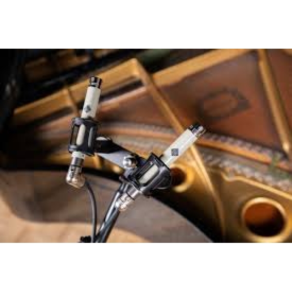 Telefunken ELA M 260 Master Set Small-Diaphragm