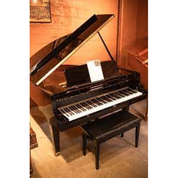 Kawai GL-10