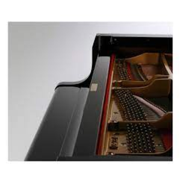 Kawai GL-20