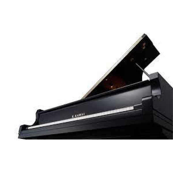 Kawai GX-1