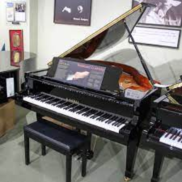 Kawai GX-1
