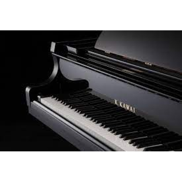 Kawai GX-2