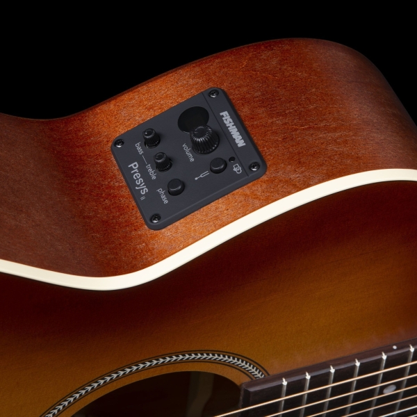 Guitar Seagull Entourage Rustic CH CW EQ