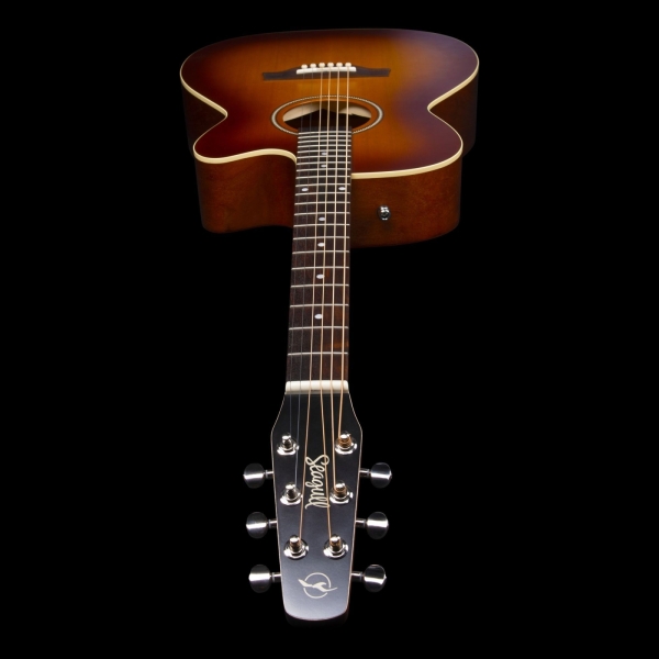 Guitar Seagull Entourage Rustic CH CW EQ