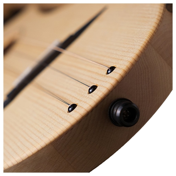 Guitar Seagull M4 Spruce