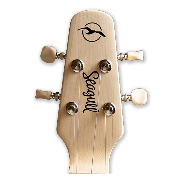 Guitar Seagull M4 Spruce