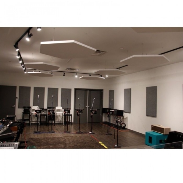 PRIMACOUSTIC HEXUS-36 CLOUD PAINTABLE PANEL (2 PCS)