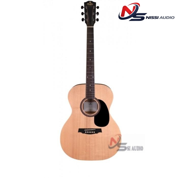 PRODIPE - ACOUSTIC GUITAR SA25 AUDITORIUM