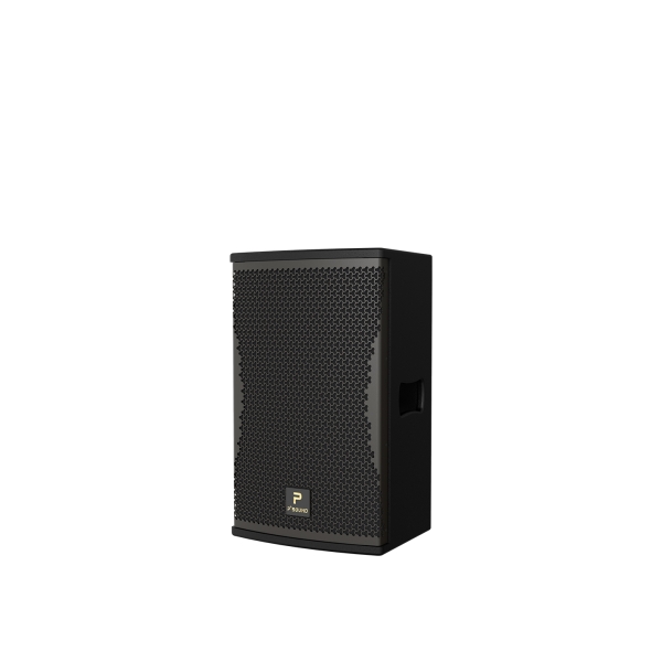 P'SOUND S-3025