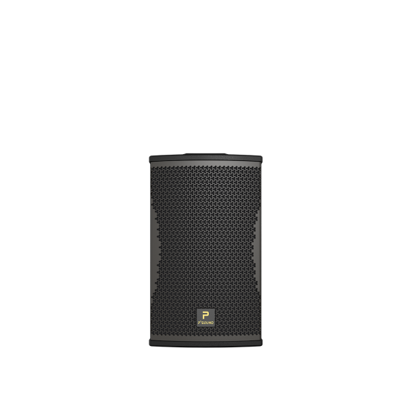 P'SOUND S-3025