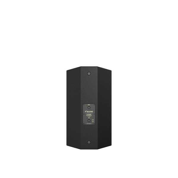 P'SOUND S-3025
