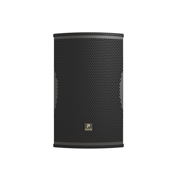 P'SOUND S-3040