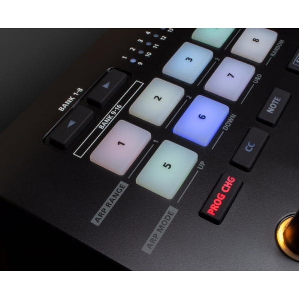 Roland A-88MKII Midi Keyboard Controller