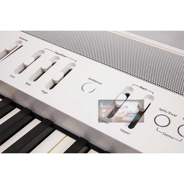Roland FP-60X