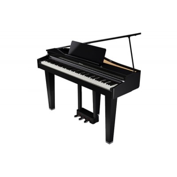 Roland GP-3
