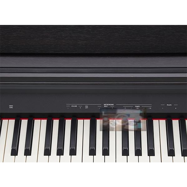 Roland RP-30