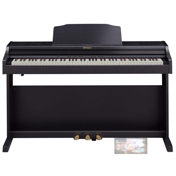 Roland RP-501R