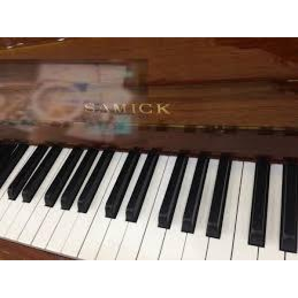 Samick JS121FD