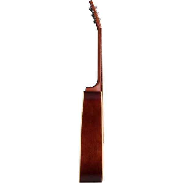 Guitar Seagull Coastline Momentum