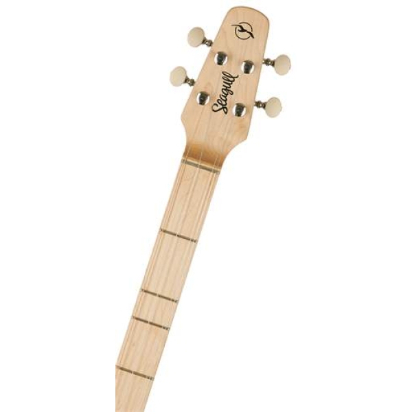 Guitar Seagull M4 Mahogany