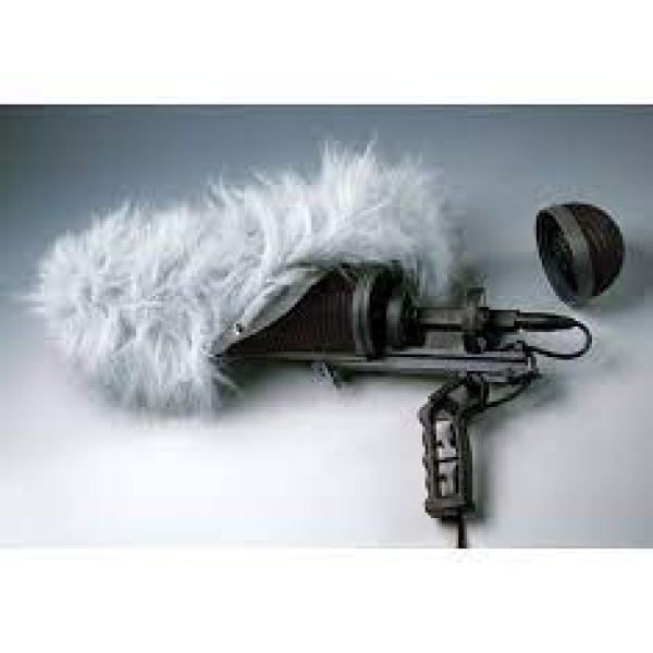 Sennheiser MZW 60-1
