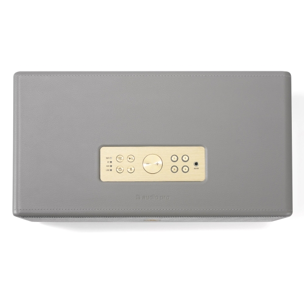 AUDIO PRO D-1